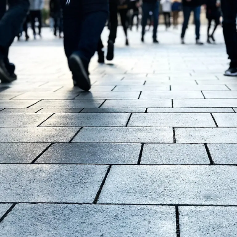 How wayfair is shaping its DEI strategy for the future through employee feedback